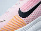 Nike Pegasus Premium (ZoomX) — Washed Coral